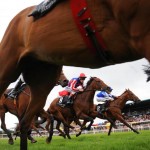Down Royal Race Day Re-Scheduled to Tues 12th Feb Now Cancelled