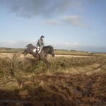 Liam McGarry clearing the hedge