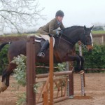Gransha Equestrian Centre Working Hunter Competition For Mon 1st April
