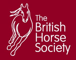 british-horse-society-logo-red-square