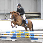 New Training Show For Horses at Connell Hill