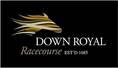 Wed 6th Feb Race Day at Down Royal Racecourse