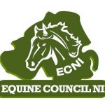 ECNI Make Their Recommendations on Classification of Horse