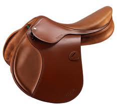 saddle