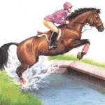 Strule Valley RC Arena Eventing Competition Announced