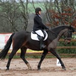 Dressage For All Spring League at Mill Yard