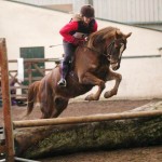 65cm winners Claire Dobbin and Louie - Photo by Equi-Tog