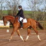 Mill Yard Dressage For All