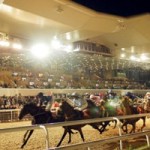Race Horse To Riding Horse – Night at the Races!