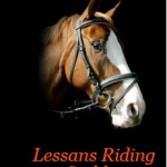 Lessans Riding Stables Ladies Day Sun 28th July