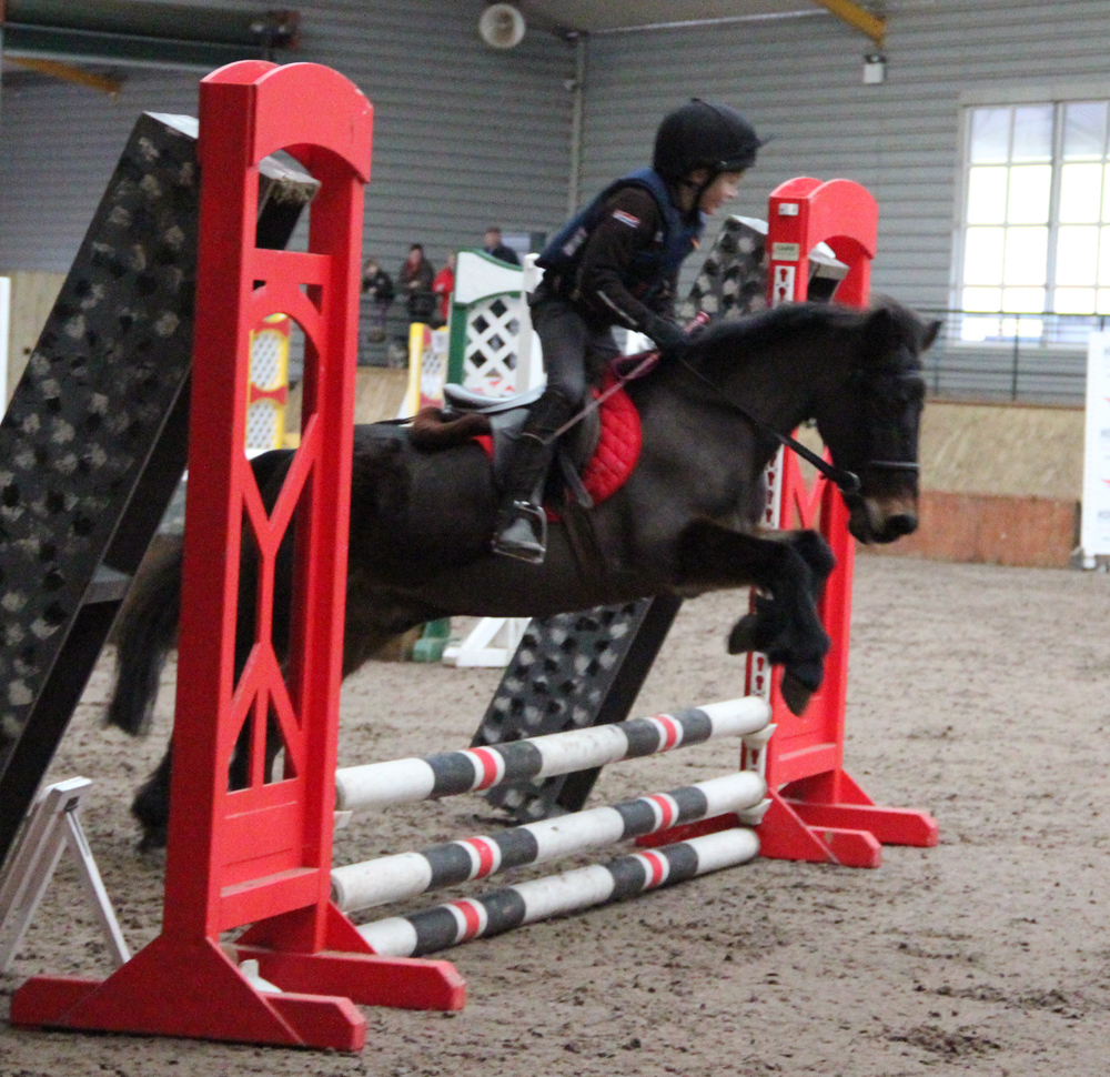 Ally Herr & Thunder go clear over the 60cm newcomers track at the Mackins Horse Feeds indoor arena eventing league at Ravensdale Lodge on Saturday.