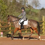 Competing in Class 2 - Sharon Cowan on Calin King