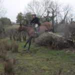 Simon Carson clearing the hedge