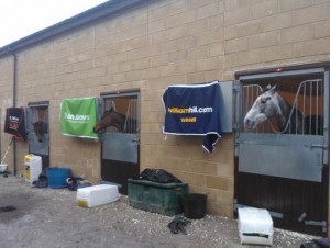 In good company... from left: Quevega who won the olbg mares for the fifth year running, Hurricane Fly who won the Stan James Champion Hurdle for the second time, and Champagne Fever won the Supreme Novice Hurdle,