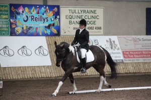 Alex Gordon & Cotton Sox compete in class four in the Cemac Group indoor dressage league at Ravensdale Lodge on Sunday.