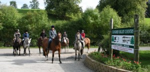 clogher_horses