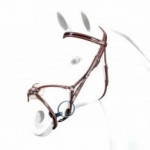 tailored_bridle