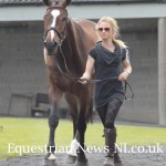Paul Nolan Update after First Trot up at Tattersalls