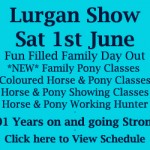 Lurganshow13