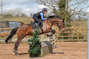 Competing in Class 2  - Michaela Glass on Tyrella Tui