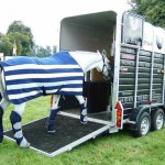 Are you covered to transport horses?