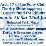 area17charityshow