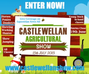 castlewellanshow13