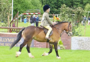 Bethany Gordon, winner of the Under 12's Working Hunter