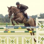 Edward Doyle Jr and Javas Keltic Mist owned by Siobhan Dunne in the 6 and 7 year old championship