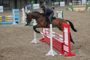 Lynn Boggs & Christie in action at Ravensdale Lodge's arena eventing league on Saturday, photo Niall Connolly