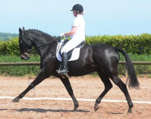 Best foot forward for Mr Bingley and Jennifer McCann