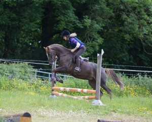 Competing in Class 1 – Claire Dobbin on Louis