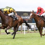 Magners Race Meeting at Down Royal on Fri 26th July