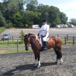 Omagh RDA member Zoe O'Malley, Fermanagh with her own horse Lucy K preparing to compete at the UK National Championships,