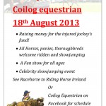 Racehorse to riding horse Charity Show Planned for 18th Aug