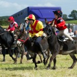 Jumps Ahead at Saintfield Charity Show