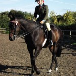 L to r = Julie Morris racehorse to riding horse chairperson,judges  Bill Mclernon Maria Kelly and Louise Halford 
2nd pix