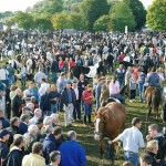 Ballinasloe Horse Fair expected to draw large numbers of visitors