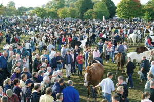 Ballinasloe Fair Green