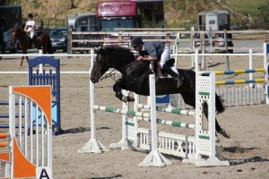 Grand National winning jockey Paul Carberry & Fanadwest Atlantic compete in the 1.10m & 1.20m classes at the Tailored Equestrian sponsored SJI registered horse league at Ravensdale Lodge on Wednesday. Photo: Niall Connolly.