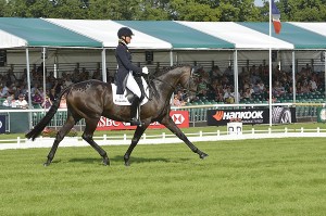 Ingrid Klimke (GER) and FRH Butts Abraxxas produce a superb test to take the lead after the first day of Dressage at the Land Rover Burghley Horse Trials, final leg of the HSBC FEI Classics™. (Photo: Kate Houghton/FEI).