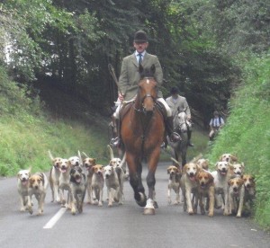The Mid Antrim Hunt out Autumn Hunting
