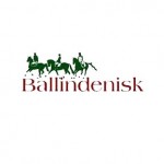 Donegan Ryan Eventing to Live stream at Ballindenisk