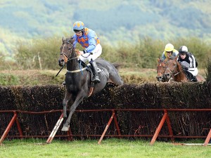 Jenny Make a Penny leads the field at the Route Hunt Point to Point races on Saturday.