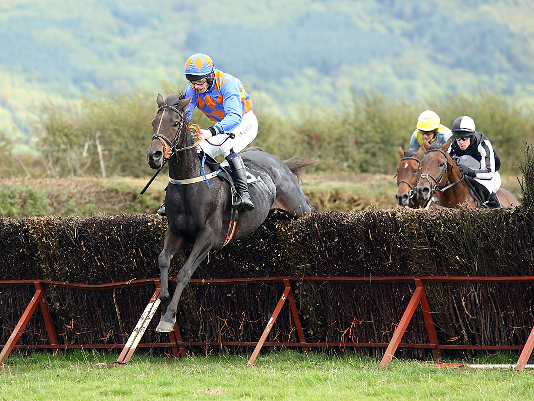 Great Day’s Racing Route Hunt Point to Point in Limivady Equestrian