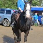 Dawn Reeve on Jack after coming 3rd in the 70cm class