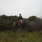Hope Gardner on Rufus clears the hedge jump