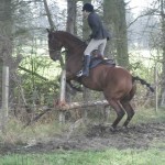 Kate Alcorn clears the fence and heads into the forest