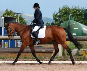 A first in Class 5 for Jill Hobson and Furisto Seven for a Secret - Photo by Equi-Tog