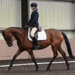 Summer Dressage Days at Laurel View